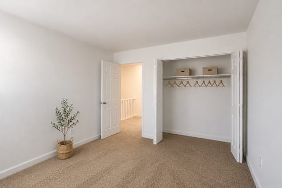 A room with a carpeted floor and a small tree in a basket.