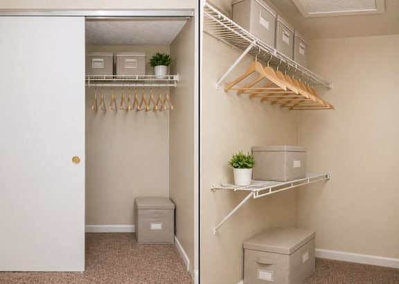 A white closet with a white door and a white shelf with a plant on it.