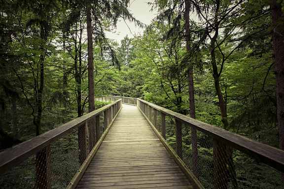 a wooden bridge in the middle of a forest at Creekside Square Apartments, Indianapolis Indiana