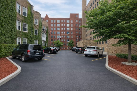 A parking lot with cars and a building covered in ivy.