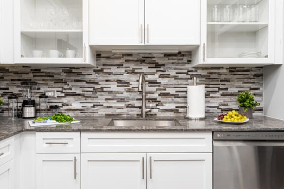Modular Kitchens at Park Heights by the Lake Apartments, Chicago, IL