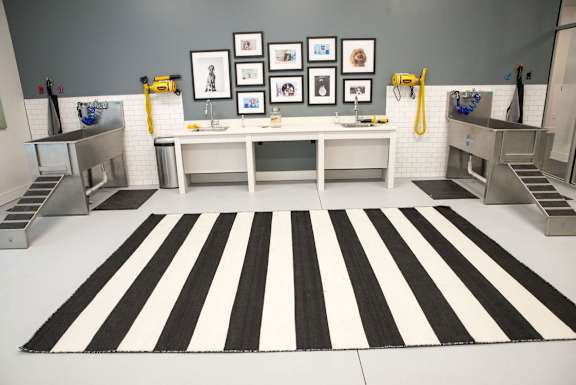 Indoor Pet Wash Station at The Whit Apartments, Indianapolis, IN, 46204