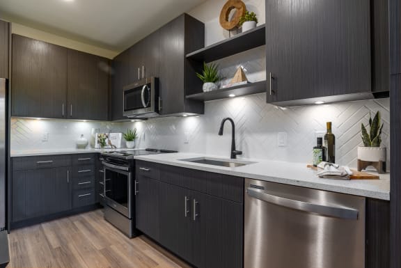 Quartz Countertops In Kitchen at Alta Longwood, Longwood, FL