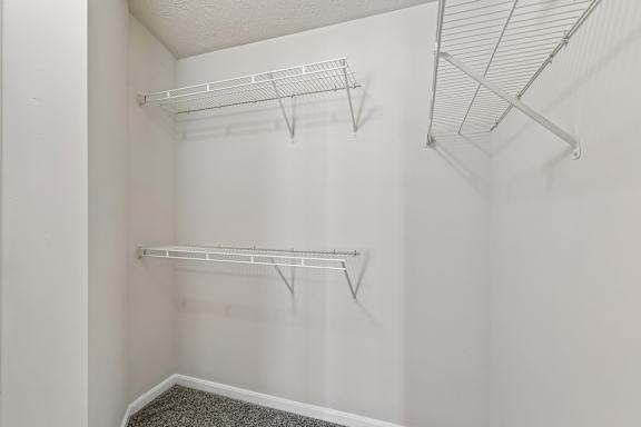 Empty white closet with shelves and a carpeted floor.