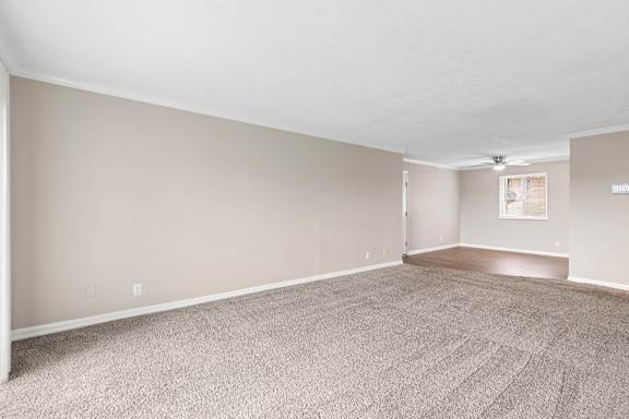 Empty room with carpeted floor and white walls.