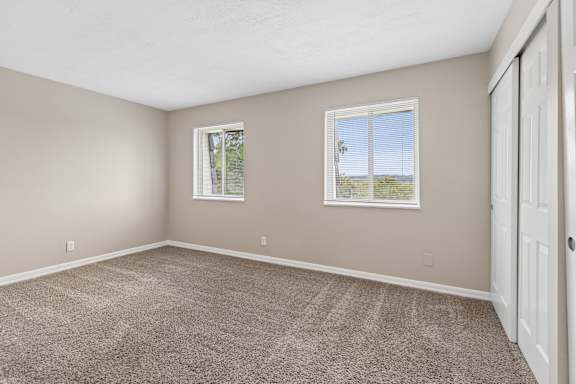 A room with a carpeted floor and two windows.