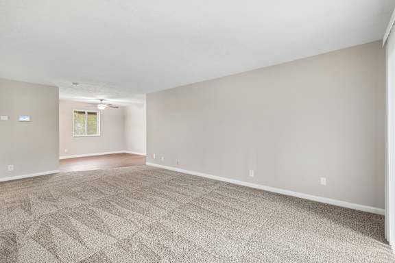 A room with a carpeted floor and a window.