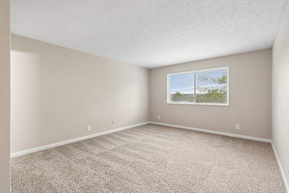 A room with a carpeted floor and a window showing a view of the sky and trees.