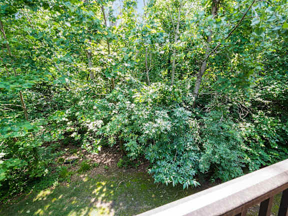 A small stream runs through a lush green forest. at River View at Bexley Apartments, River View at Bexley