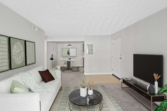 A living room with a white couch and a black television.
