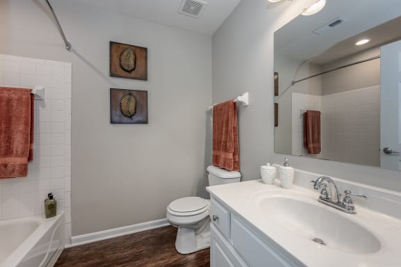 Bathroom with a sink and a toilet and a bath tub