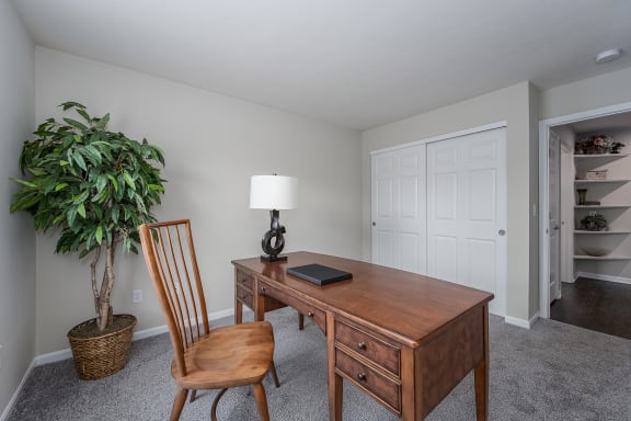 Office with a desk and a chair and a plant