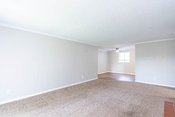 Large, empty room with a carpeted floor at Trails at Mariemont, Ohio