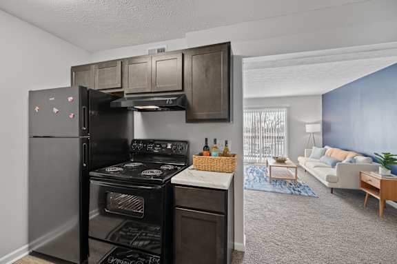 A kitchen with a black refrigerator and stove top oven.
