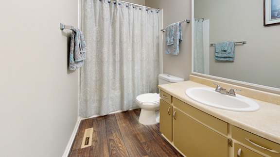 A bathroom with a toilet, sink, and shower curtain.