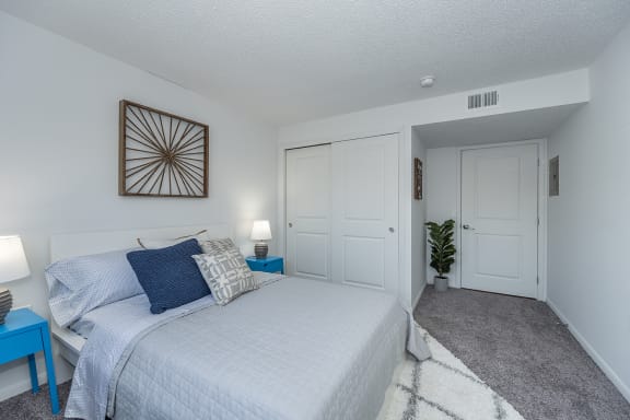 a bedroom with a bed and a closet