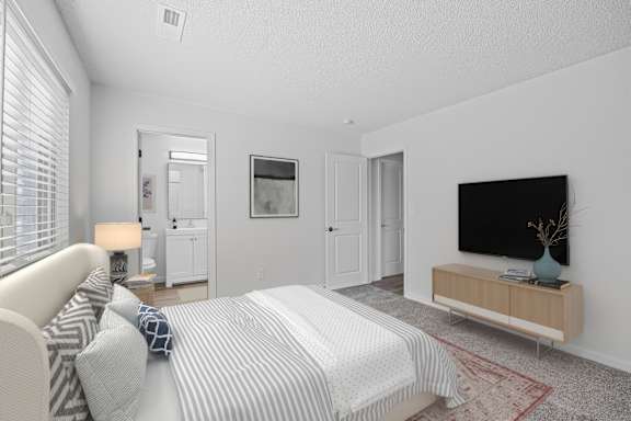 A bedroom with a bed, a couch, a television, and a rug.