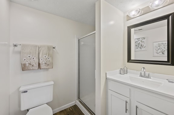 a bathroom with a shower toilet and sink