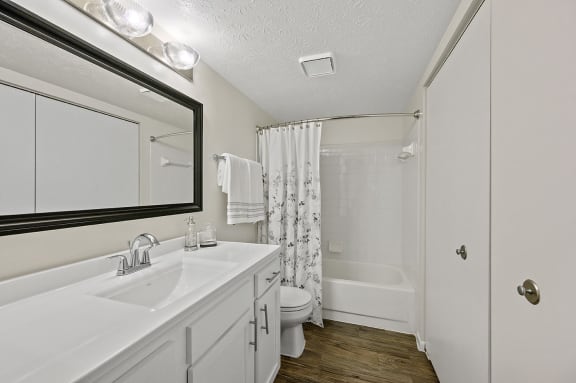a bathroom with a sink and a toilet and a shower