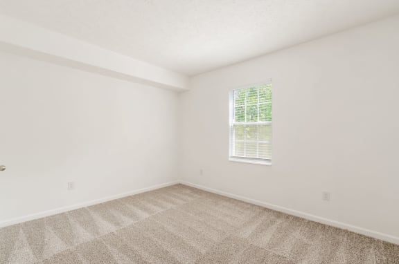 an empty room with carpet and a window
