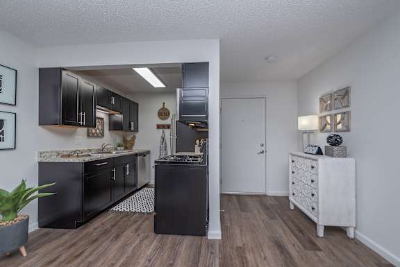A kitchen with black cabinets and a white counter.