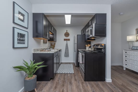 a kitchen with black cabinets and a stove and a refrigerator