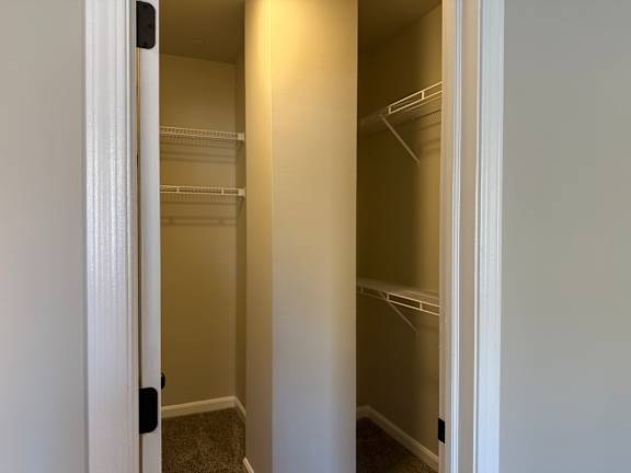 A white door is open to a walk-in closet with shelves.