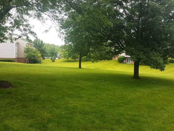 a green lawn with trees in front of a house at Weaver Farm, Florence, Kentucky