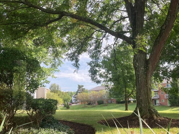 green space and trees at Weaver Farm, Florence, Kentucky