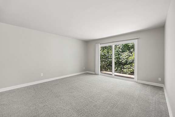 A room with a carpeted floor and a window showing greenery outside.