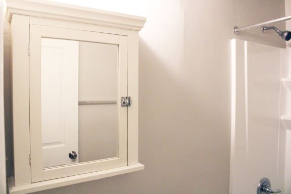 Bathroom Mirror at Cincinnati Premier Living*, Cincinnati, OH, 45213