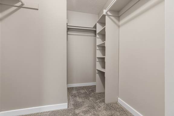 A white closet with shelves and a carpeted floor.