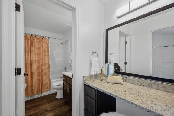 a bathroom with a mirror and a sink and a shower at Ivy Hills Living Spaces, Cincinnati