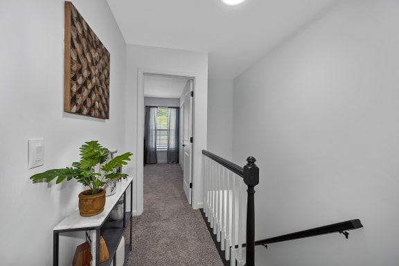 landing with carpeted stairs and white walls and a staircase with a plant at Ivy Hills Living Spaces, Cincinnati, OH, 45244
