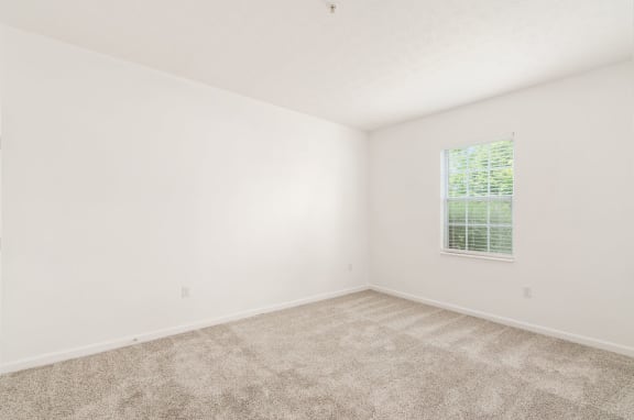 a room with carpet and a window
