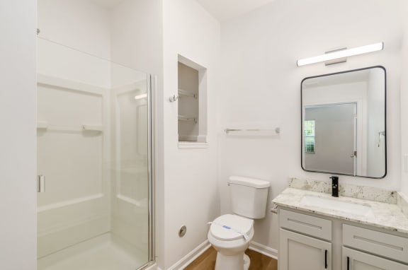 a bathroom with a shower toilet and sink and a mirror