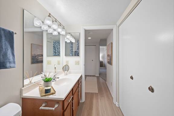 A bathroom with a white sink and a mirror above it.