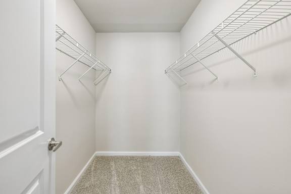 A white closet with a carpeted floor and two shelves.