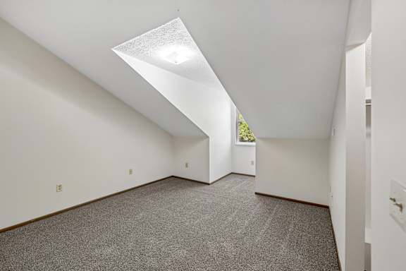 A room with a carpeted floor and a skylight.