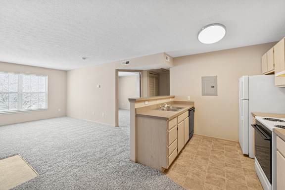 A kitchen with a sink, stove, and refrigerator.