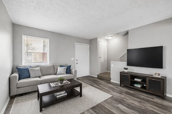 A living room with a grey couch, a coffee table, and a television.