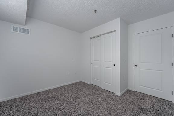 A room with two doors and a carpeted floor.