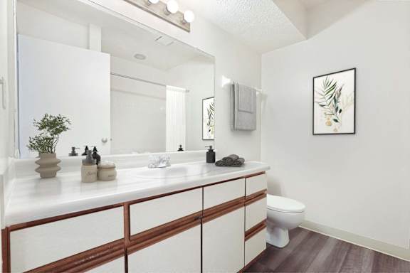 A bathroom with a white counter and a white toilet.