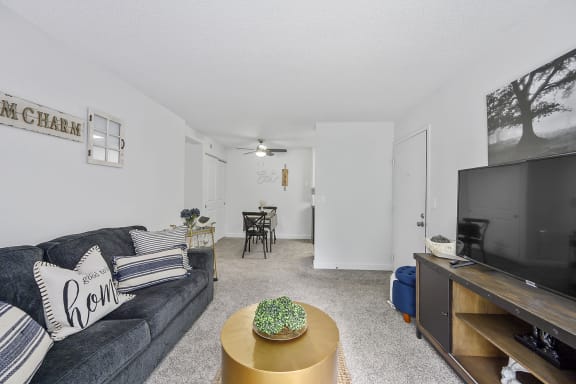 Living room with a couch and a tv