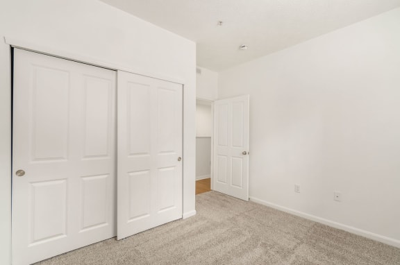 a bedroom with two closets and a carpeted floor