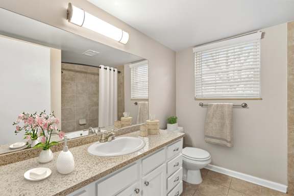 A bathroom with a sink, toilet, and a mirror.