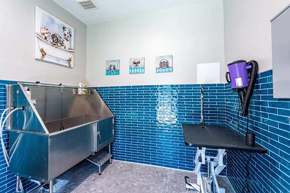A blue tiled wall with a stainless steel sink and a black table.
