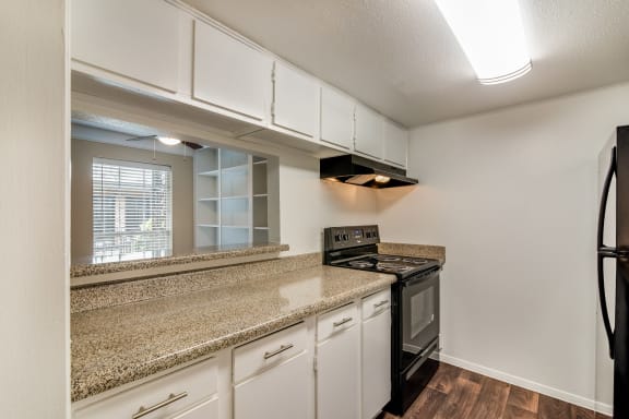 New Stainless Steel Appliances at Allen House Apartments, 3433 West Dallas Street, TX