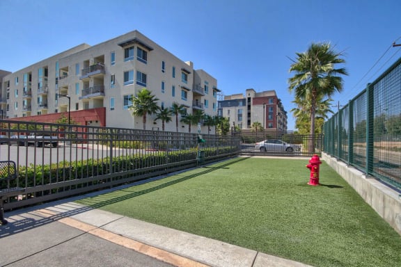 Pet-Friendly Community with Dog Park at Boardwalk by Windsor, 7461 Edinger Ave., CA