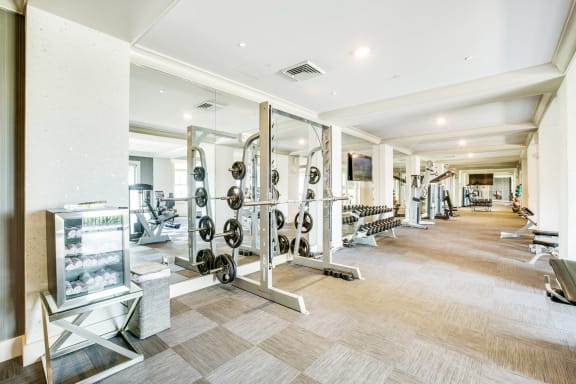 Fitness Studio with Weight Station at Windsor at Doral, Florida, 33178
